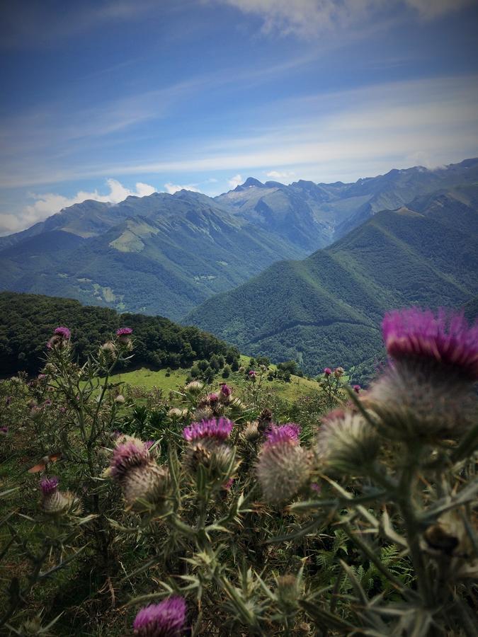 奥德拓杜拉瑞驰住宿加早餐旅馆 Castillon-en-Couserans 外观 照片